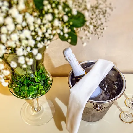 招待所 Riva Palace - Design