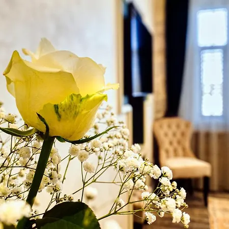 Riva Palace - Design