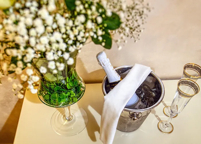 招待所 Riva Palace - Design