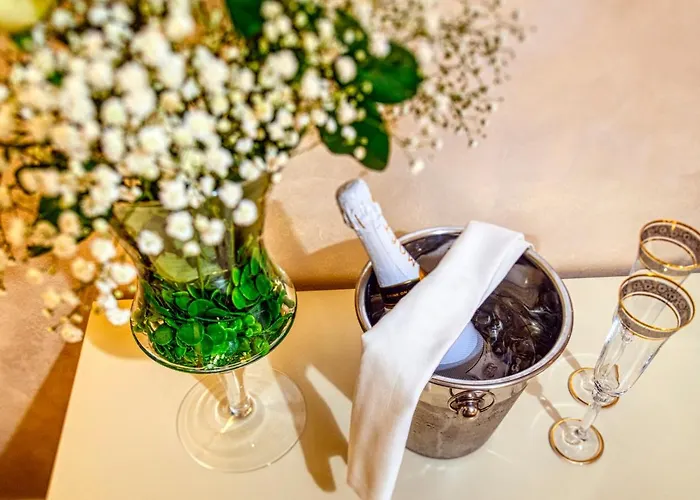 Riva Palace - Design 扎达尔