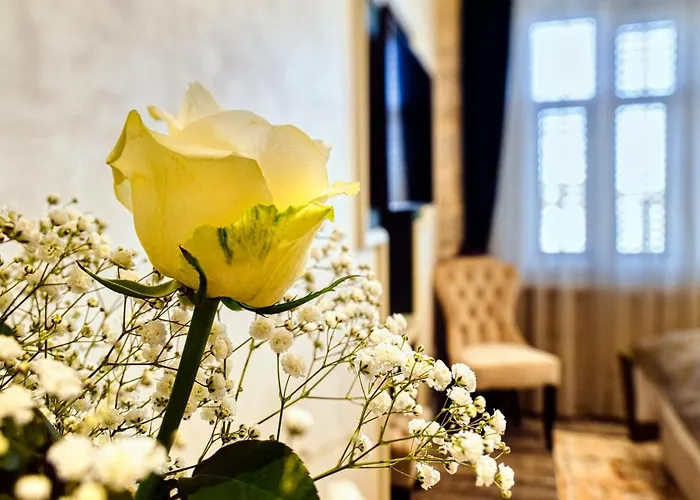 Riva Palace - Design